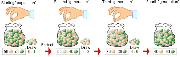 genetic drift marbles